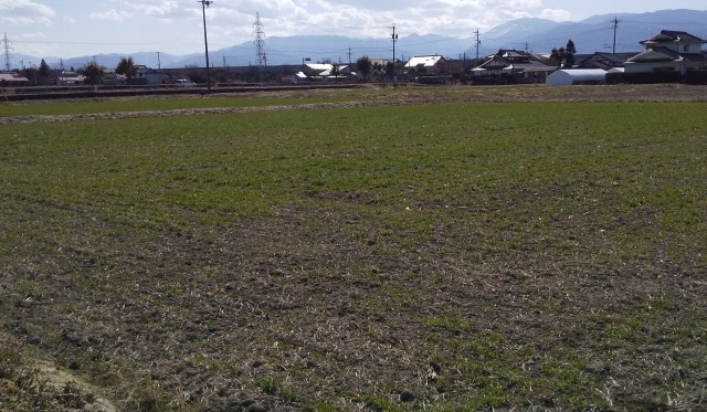 detached 松本市大字笹賀4891