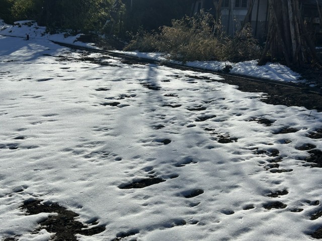  松本市梓川倭659-1